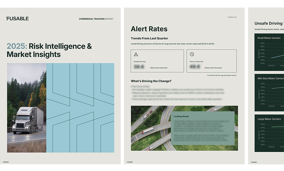 Risk Insights Report Preview